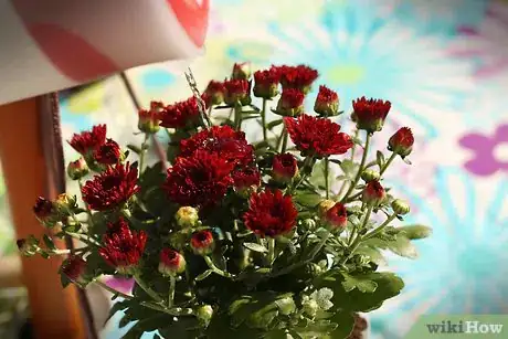 Image titled Make a Planter out of an Old Milk Jug Step 8