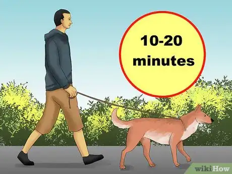 Image titled Travel by Car with a Fearful Dog Step 7