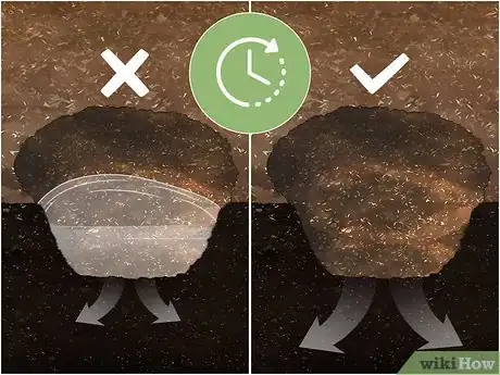 Image titled Grow Tiger Lilies Step 2