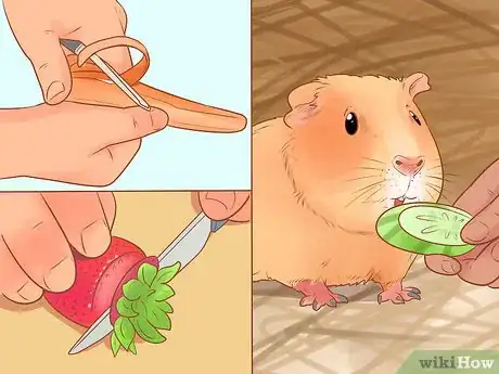 Image titled Keep a Guinea Pig on a Budget Step 11