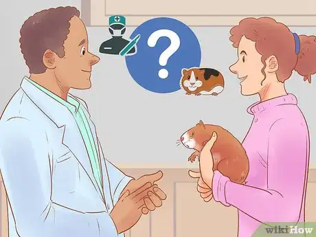 Image titled Neuter Your Guinea Pig Step 7