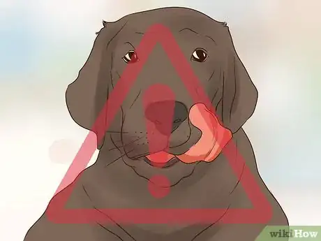 Image titled Introduce a Puppy to a Senior Dog Step 13