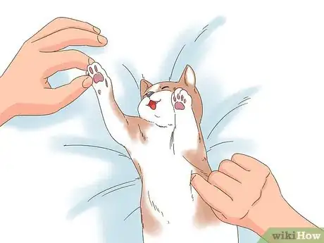 Image titled Find Homes for a Litter of Kittens Step 2