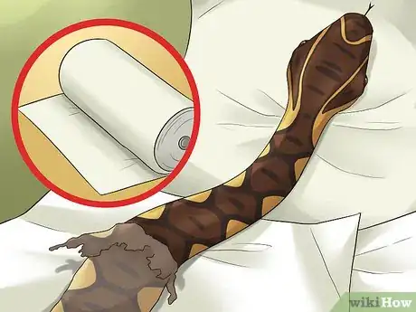 Image titled Care for a Shedding Snake Step 7