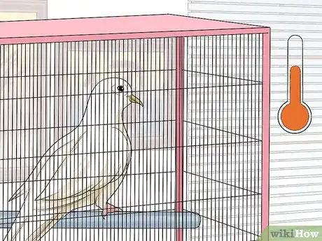 Image titled Treat Pneumonia in Doves Step 3