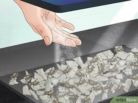 Image titled Care for a Chilean Rose Tarantula Step 14