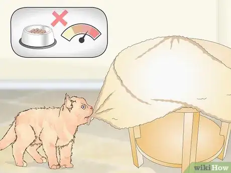 Image titled Manage Wool Sucking in Cats Step 8