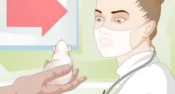 Prepare for a New Pet Hamster