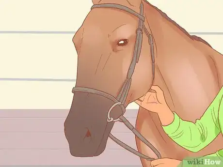 Image titled Check Whether Your Horse or Donkey Needs to See a Dentist Step 1