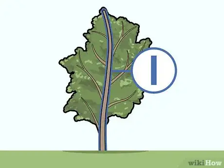 Image titled Prune Pecan Trees Step 6