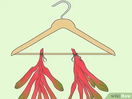 Image titled Dry Kangaroo Paws Step 3