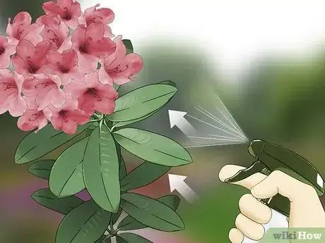 Image titled Control Lace Bugs in Your Flower Garden Step 2