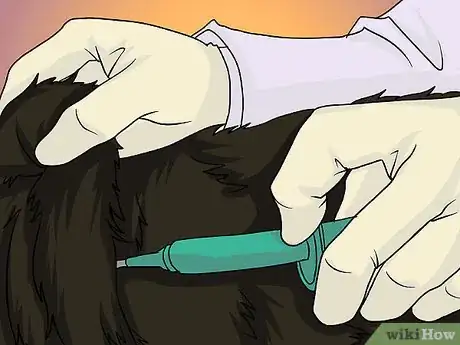 Image titled Go on a Car Trip With a Small Dog Step 2