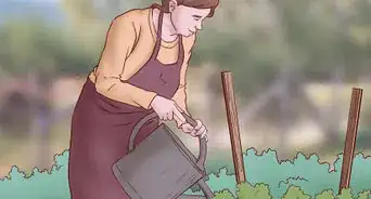 Live After the Death of a Spouse