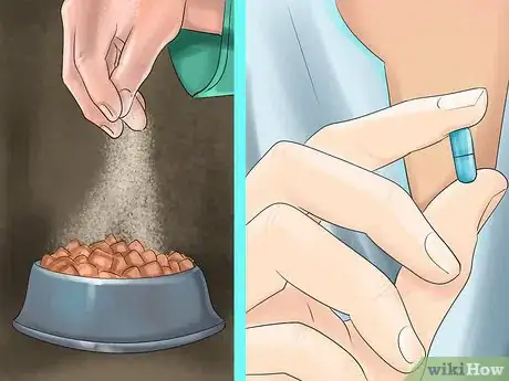 Image titled Give Your Cat a Joint Supplement Step 6