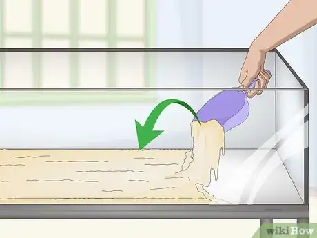 Image titled Keep Japanese Weather Loaches Step 2