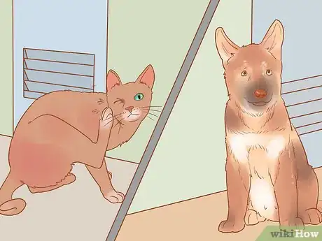 Image titled Keep a Pet When You Have Cats Step 14
