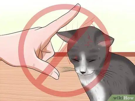 Image titled Prepare Your Cat for a New Baby Step 23