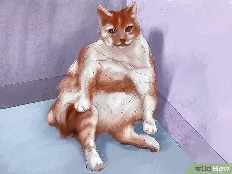 Image titled Spot Feline Diabetes Step 8