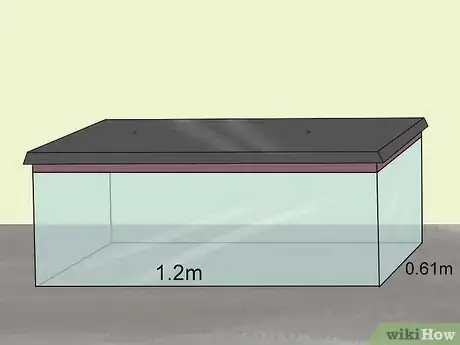 Image titled Care for a Shaw's Jird Step 2