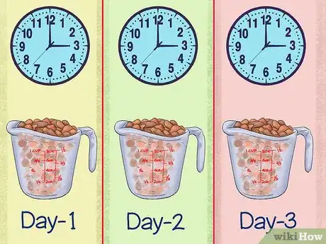 Image titled Treat Obesity in Labrador Retrievers Step 5