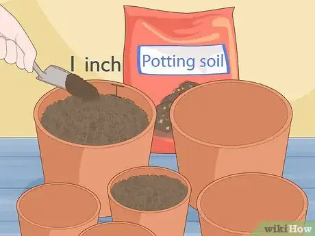 Image titled Garden During Coronavirus Step 13