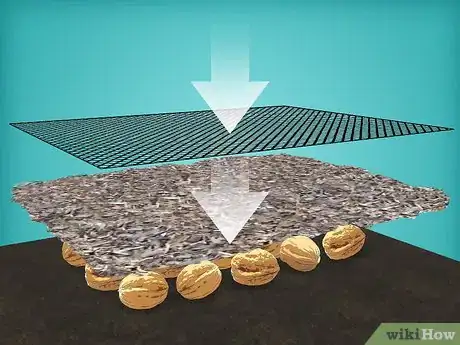 Image titled Plant Walnuts Step 4