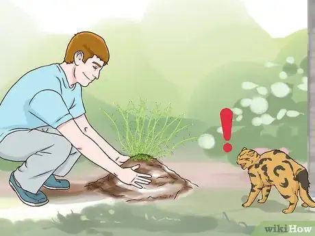 Image titled Protect Small Yard Animals from Cats Step 3