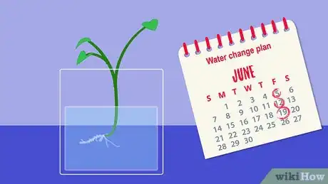 Image titled Grow Hoya Bella (Miniature Wax Plant) Step 3