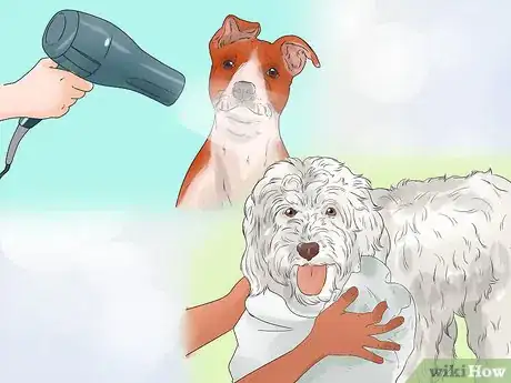 Image titled Groom a Thin Furred Dog Step 16