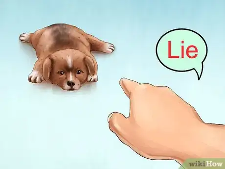 Image titled Introduce Training to a New Puppy Step 6