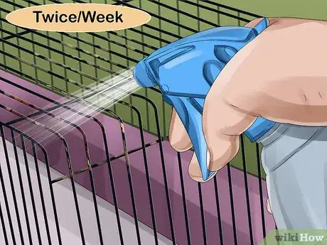 Image titled Care for a Ferret Step 4