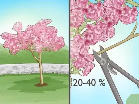 Image titled Stop a Cherry Tree from Bearing Fruit Step 2