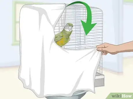 Image titled Deal with a Fearful or Stressed Senegal Parrot Step 5