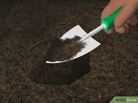 Image titled Grow Gaura Step 8