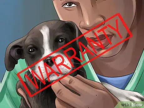 Image titled Decide if a Pit Bull Is Right for You Step 4