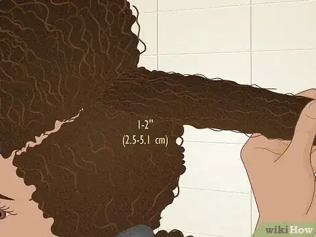 Image titled Do a Twist and Curl on Natural Hair Step 3