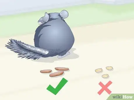 Image titled Prevent Chinchillas from Developing Hairballs Step 8