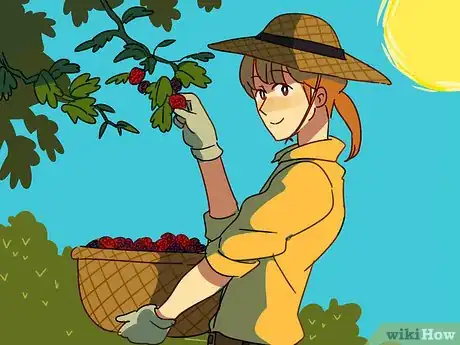 Image titled Celebrate the Summer Solstice Step 6