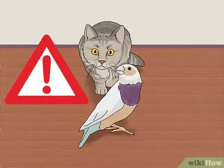 Image titled Choose a Finch Step 7