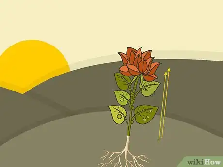 Image titled Prune Dahlias Step 08