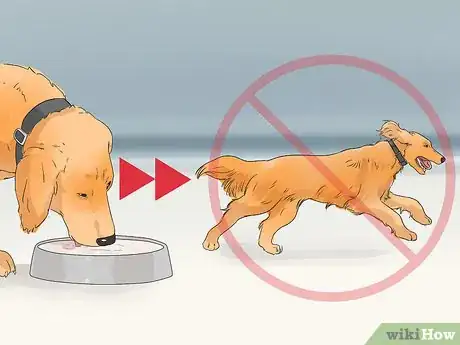 Image titled Detect and Prevent Bloating and Torsion in Dogs Step 13