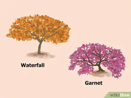 Image titled Choose Japanese Maple Trees Step 8