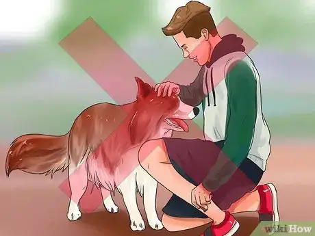 Image titled Stop Your Dog from Begging Step 3