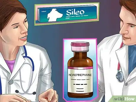 Image titled Deal with Canine Noise Aversion Step 15