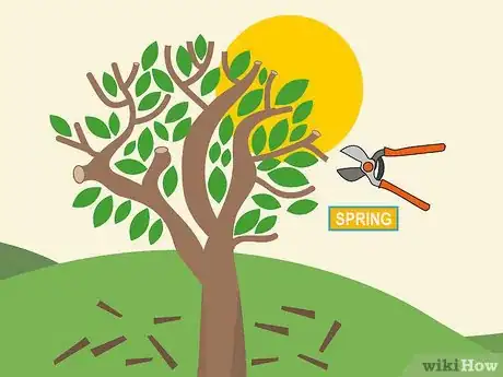 Image titled Prune Brugmansia Step 17