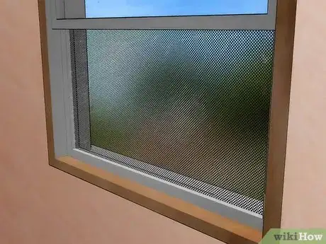 Image titled Get Rid of Boxelder Bugs Step 6