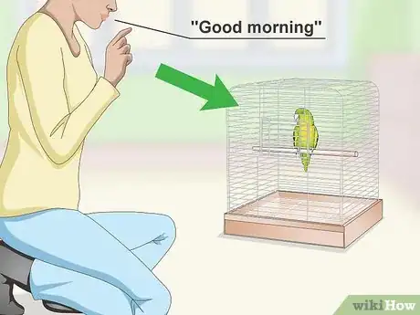 Image titled Teach a Parrotlet to Speak Step 5