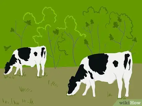 Image titled Graze Cattle on Pasture Step 3