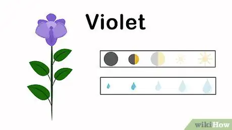 Image titled Grow an Herbal Tea Garden Step 13